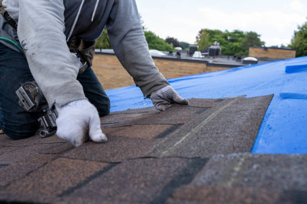 Best Residential Roofing Contractor  in Bridge City, TX