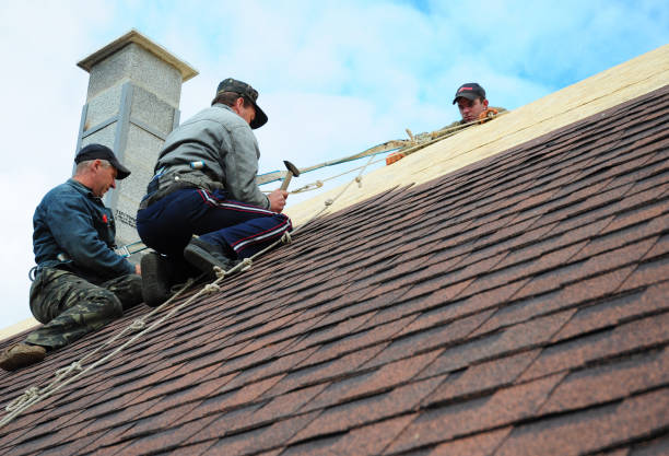 Best Roofing Contractor Near Me  in Bridge City, TX