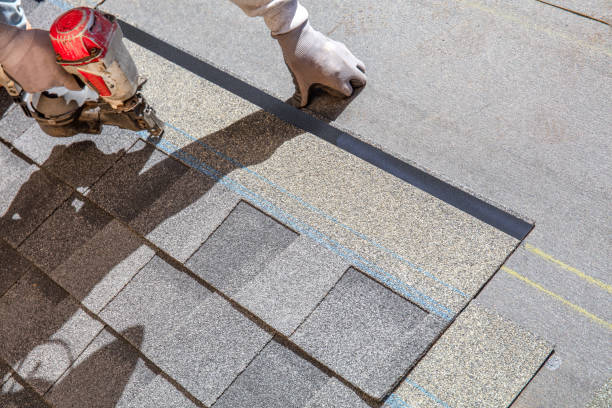 Best Roofing Contractor Near Me  in Bridge City, TX